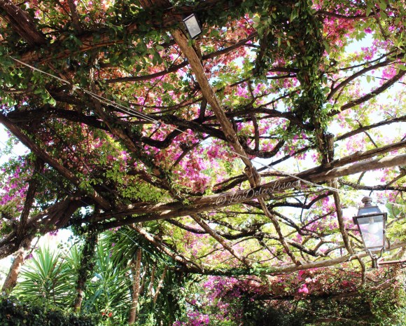 photo-2016-09-12-8-19-40-pm