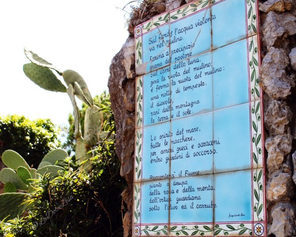 photo-2016-11-16-10-29-38-am