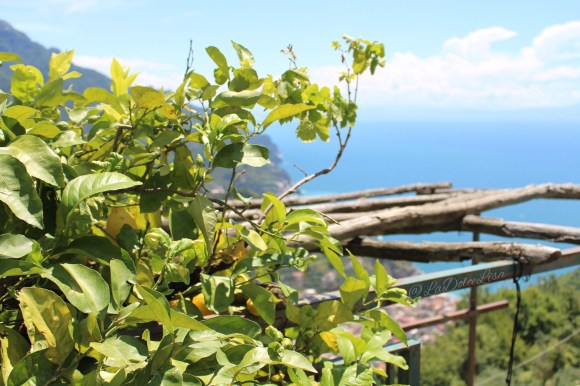 photo-2017-01-18-7-34-34-pm