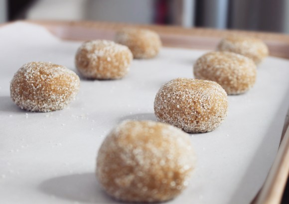 Photo 2018-10-14, 3 34 35 PM