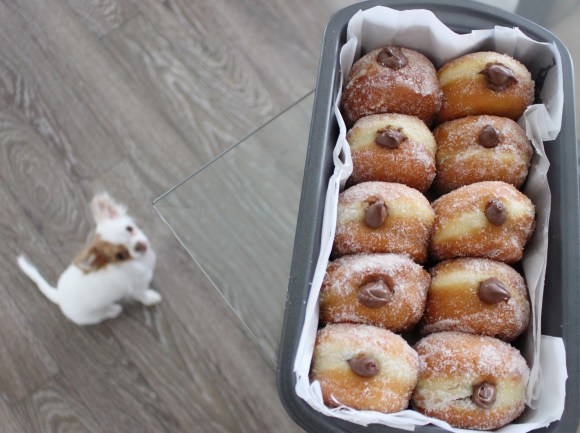 Photo 2018-09-06, 3 42 37 PM