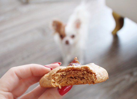 Photo 2019-01-14, 9 01 32 AM