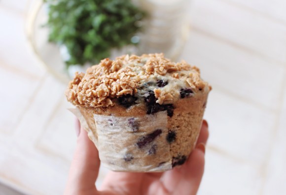 Photo 2019-02-17, 2 02 54 PM